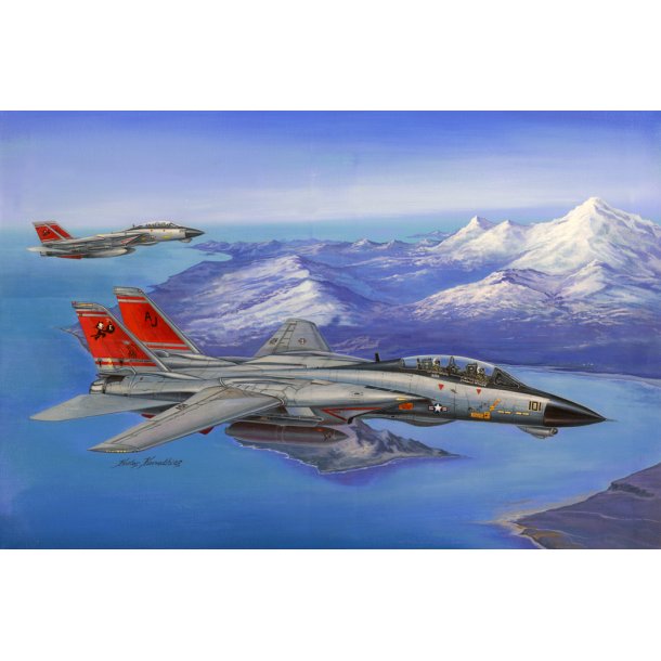 F-14D Super Tomcat - HobbyBoss 1/48
